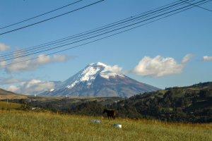 Lee más sobre el artículo Historia ejemplo 1