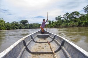 Lee más sobre el artículo Historia 2